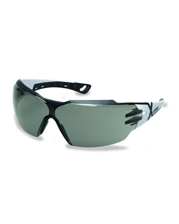 Pheos CX2 Safety Glasses - Grey